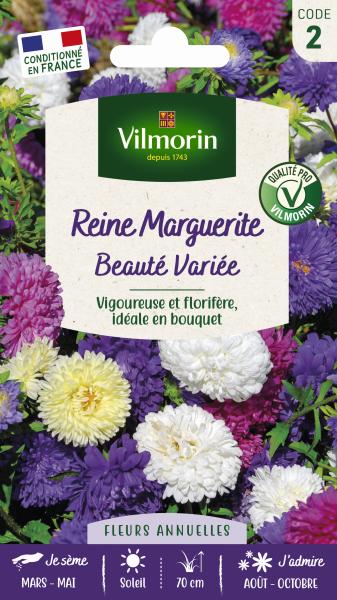 Fleurs - Reine-Marguerite Beauté Variée - PACKAGING_RECTO